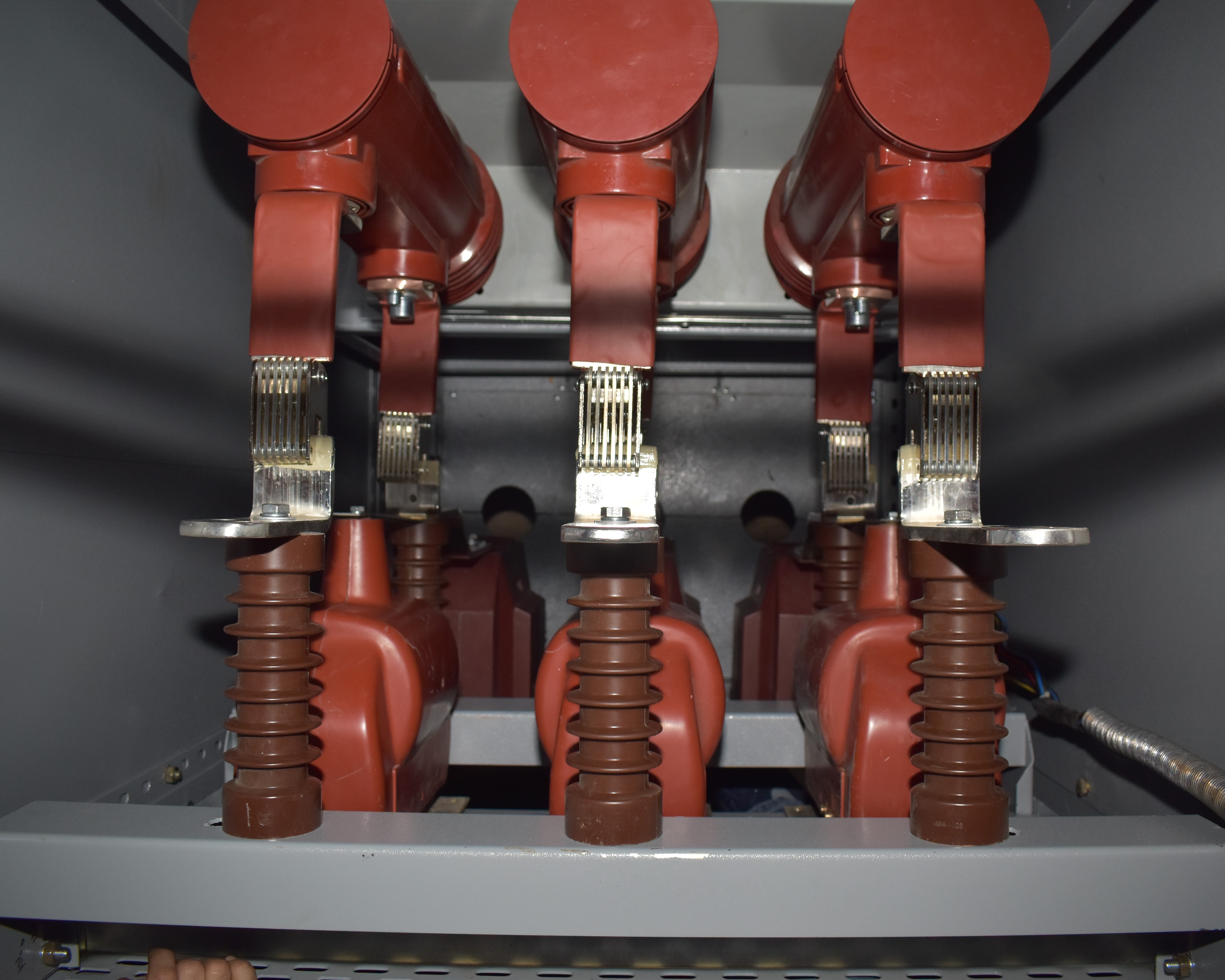 C 116/2023 - Image 04